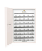 Premade Edition Eyelashes - 20 lines 8D 0.05