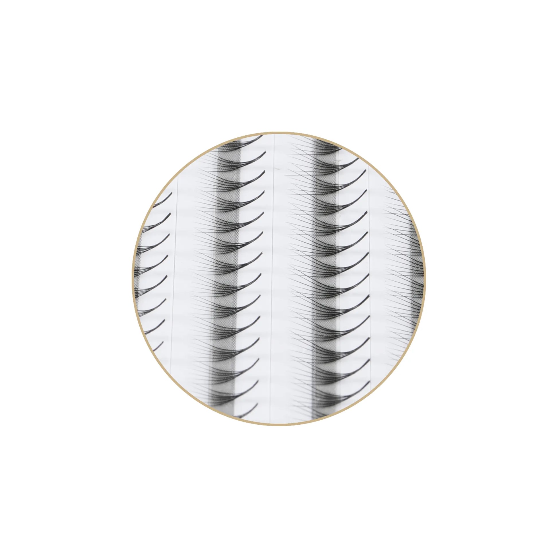 Premade Dramatic Eyelashes - 2D 0.10 - 12 line