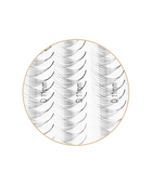 Premade Edition Eyelashes - 20 lines 6D 0.05/0.07